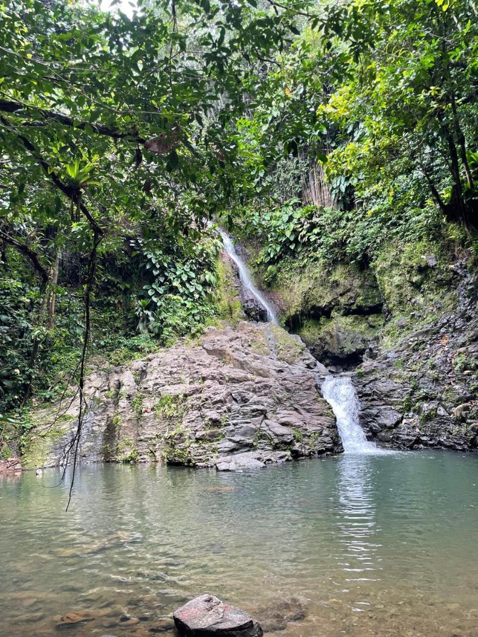Villa Barthelemy Goyave Exterior foto